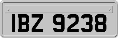 IBZ9238