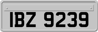 IBZ9239