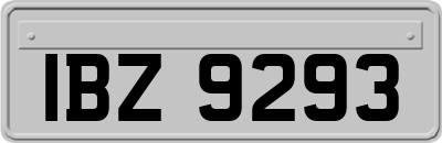 IBZ9293