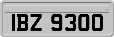 IBZ9300