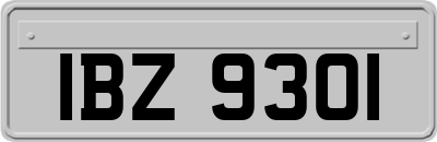 IBZ9301