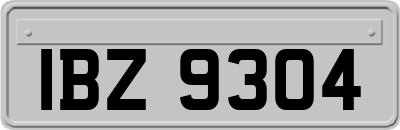 IBZ9304