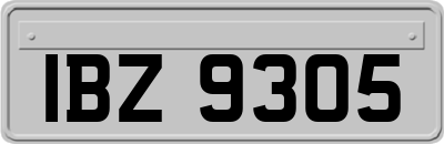 IBZ9305