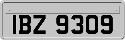 IBZ9309