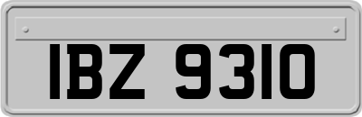 IBZ9310