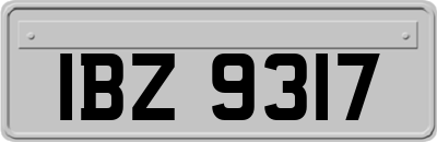 IBZ9317
