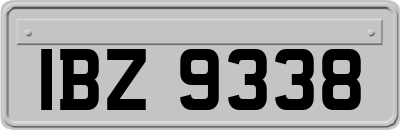 IBZ9338