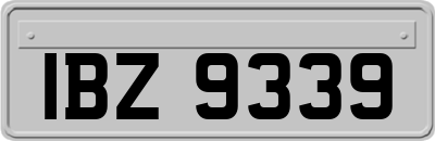 IBZ9339