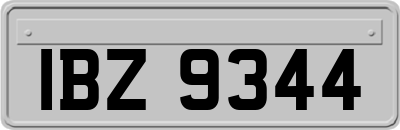 IBZ9344