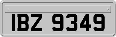 IBZ9349