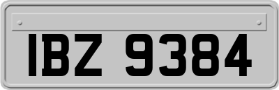 IBZ9384