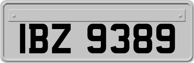 IBZ9389