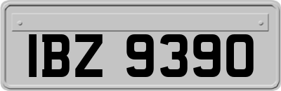 IBZ9390