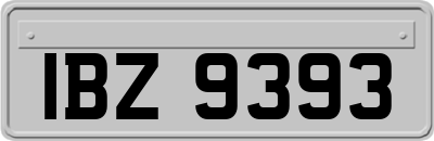 IBZ9393