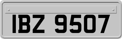 IBZ9507