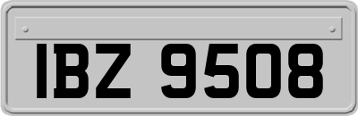IBZ9508