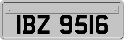 IBZ9516