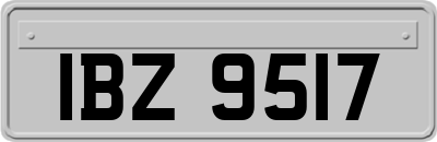 IBZ9517