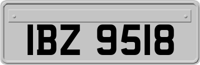 IBZ9518