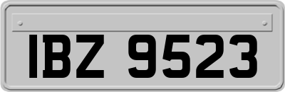 IBZ9523