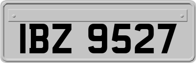 IBZ9527