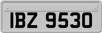 IBZ9530
