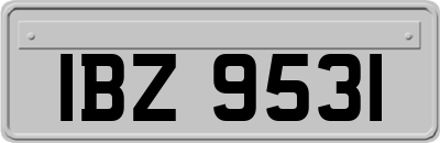IBZ9531