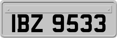 IBZ9533