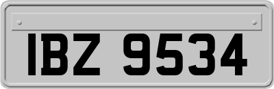 IBZ9534