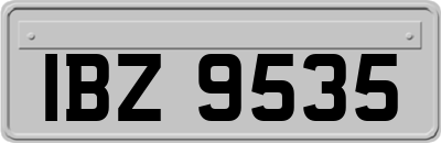 IBZ9535