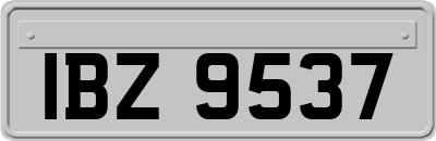 IBZ9537