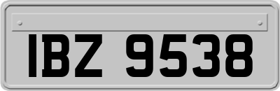 IBZ9538