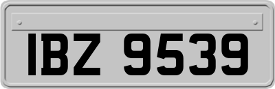 IBZ9539