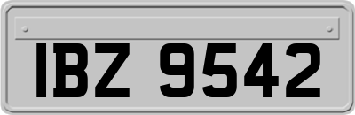 IBZ9542