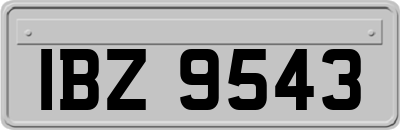 IBZ9543