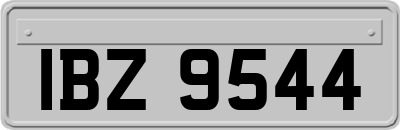 IBZ9544