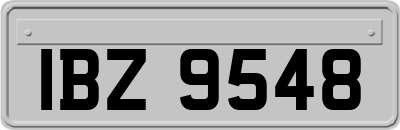 IBZ9548