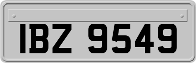 IBZ9549
