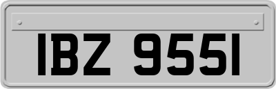 IBZ9551