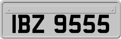 IBZ9555