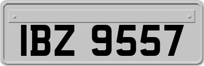 IBZ9557