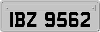 IBZ9562