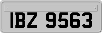 IBZ9563