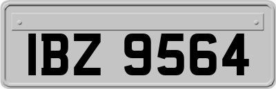 IBZ9564