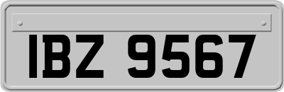 IBZ9567
