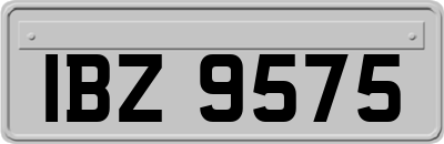 IBZ9575