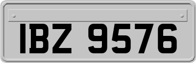 IBZ9576
