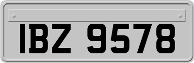 IBZ9578