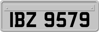 IBZ9579