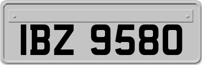 IBZ9580